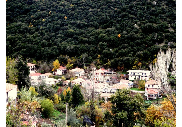 Άποψη οικισμού Απόσκιας