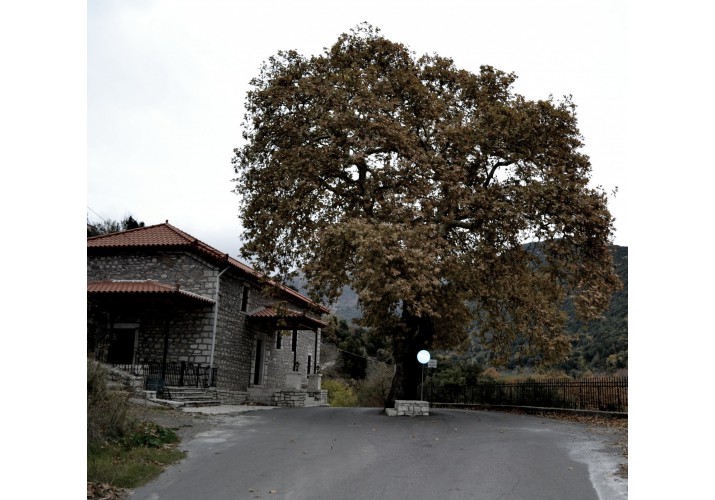 Πλατεία εκκλησίας στη Σούδελη