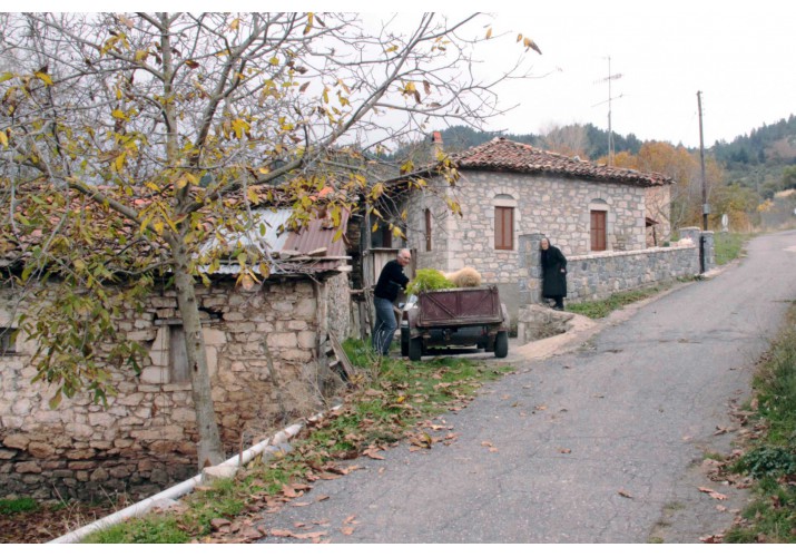 Εικ.2 Ασφαλτοστρωμένος δρόμος στην είσοδο του χωριού