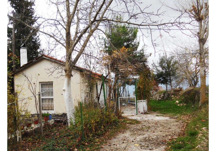 Εικ.4 Μικρος σε πλάτος δρόμος