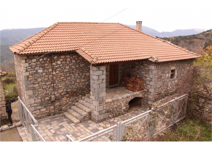 Γενική άποψη οικίας