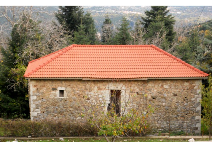 Δυτική όψη