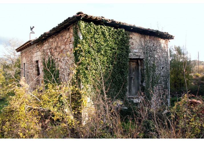 5. Δυτική όψη