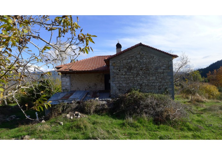 5. Δυτική όψη