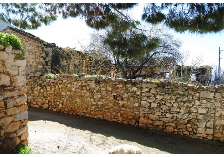 φωτογραφία_α