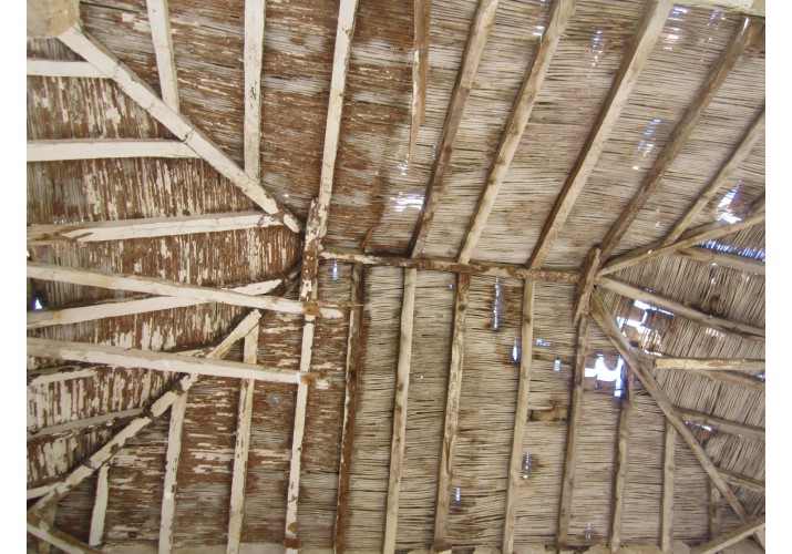 φωτογραφία_ι