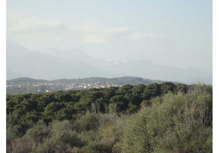 νταμάρι κροκεάτη λίθου