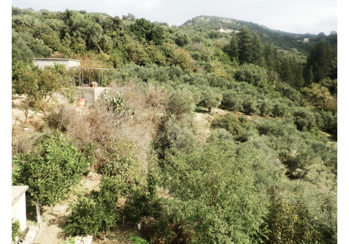 Καλλιέργειες οπωροφόρων