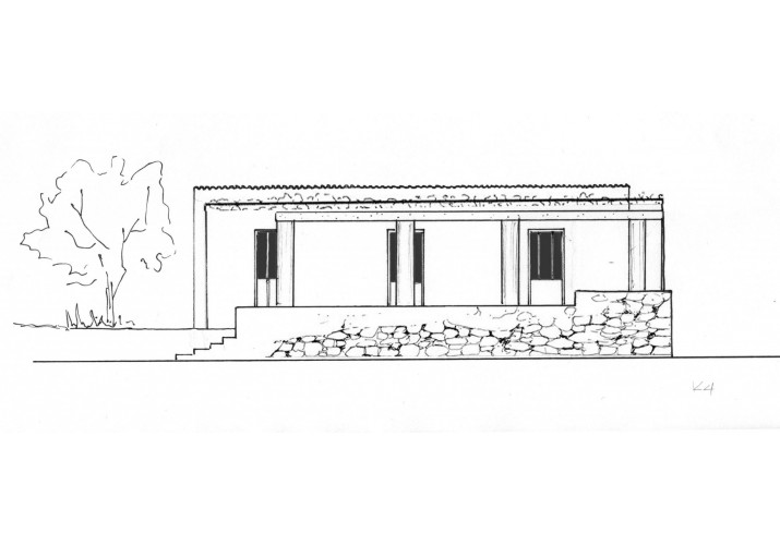 όψη