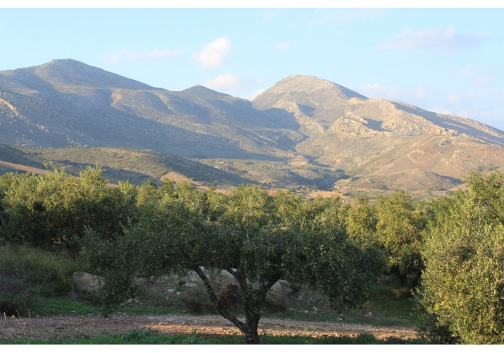 Το βουνό.