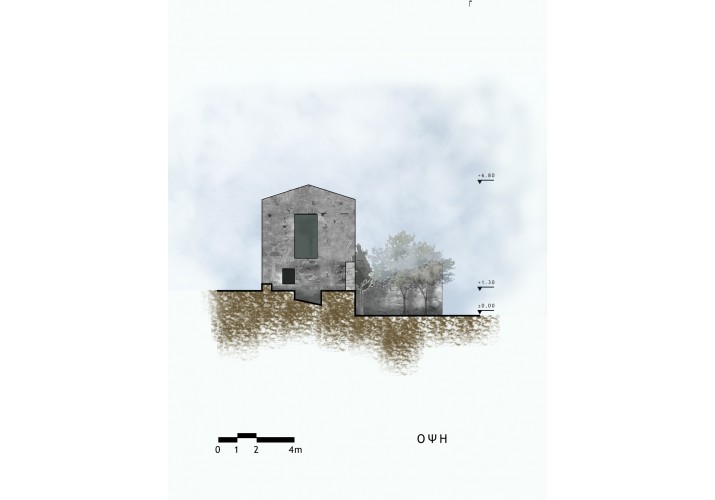 Όψη