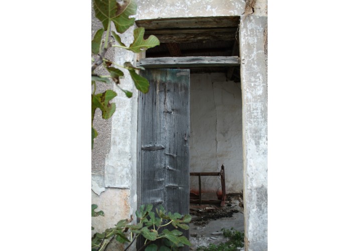 Όψη