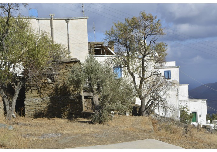 ΓΕΝΙΚΗ ΦΩΤΟΓΡΑΦΙΑ