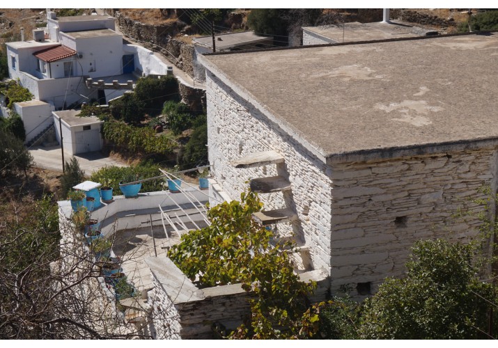 Άποψη αυλής