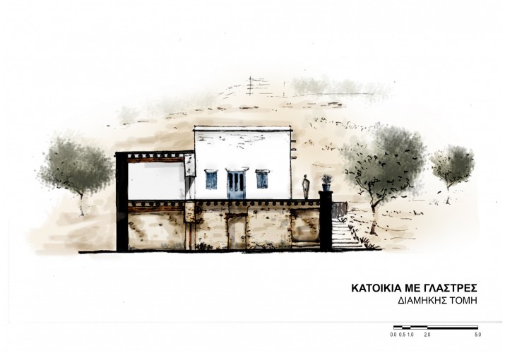 Διαμήκης Τομή