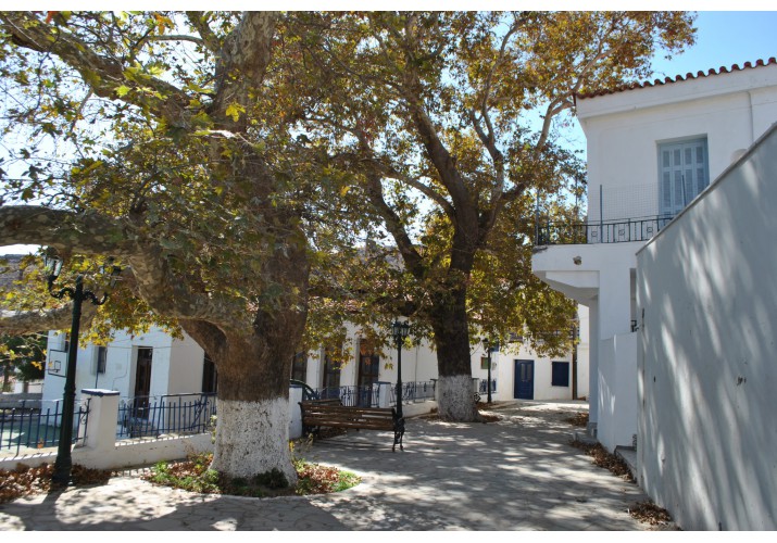 Φωτογραφία, Η Πλατεία του Πλατάνου