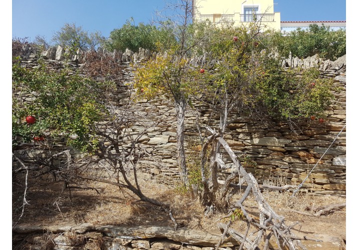 Ροδιές