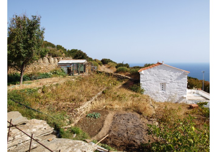 Καλλιέργειες
