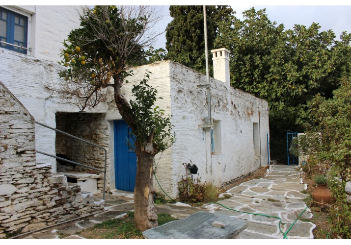 Αυλή και είσοδος σπιτιού στο επίπεδο του κατωγιού