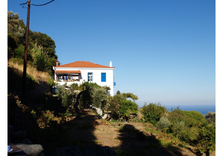 Όψη απο το μονοπάτι