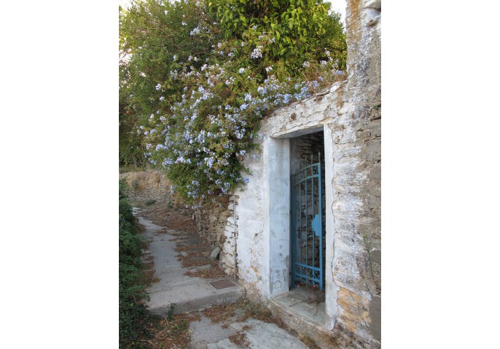 Καγκελόπορτα