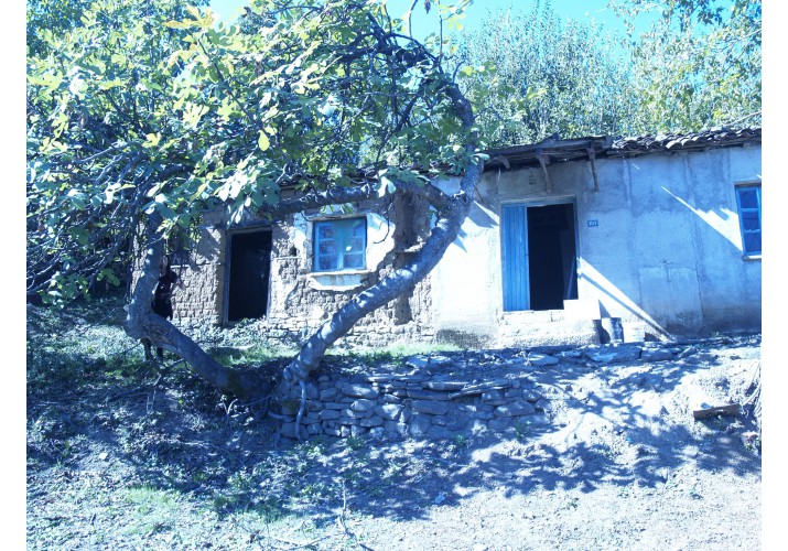 ΦΩΤΟΓΡΑΦΙΑ ΑΝΑΤΟΛΙΚΗΣ ΠΛΕΥΡΑΣ