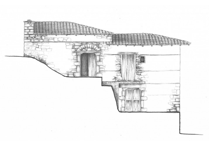 Όψη 1