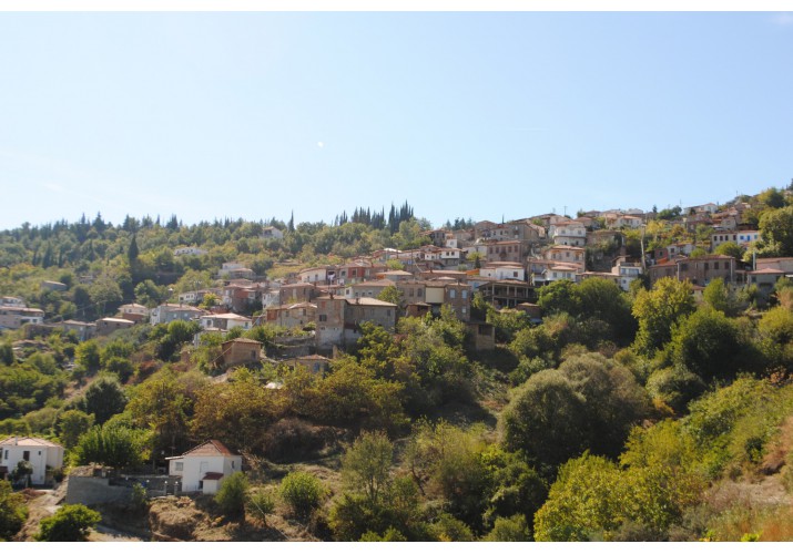 Πυκνότητα οικισμού