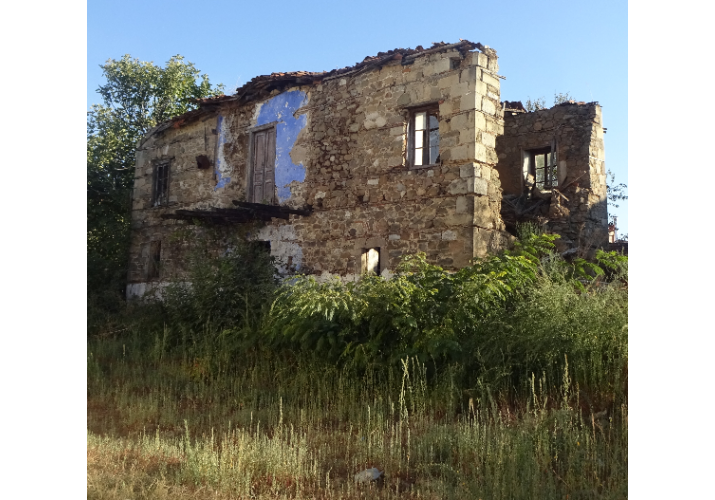 χαρακτηριστικό λουλακί χρώμα