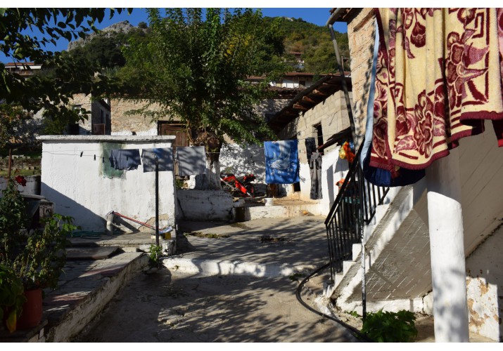 Αυλή
