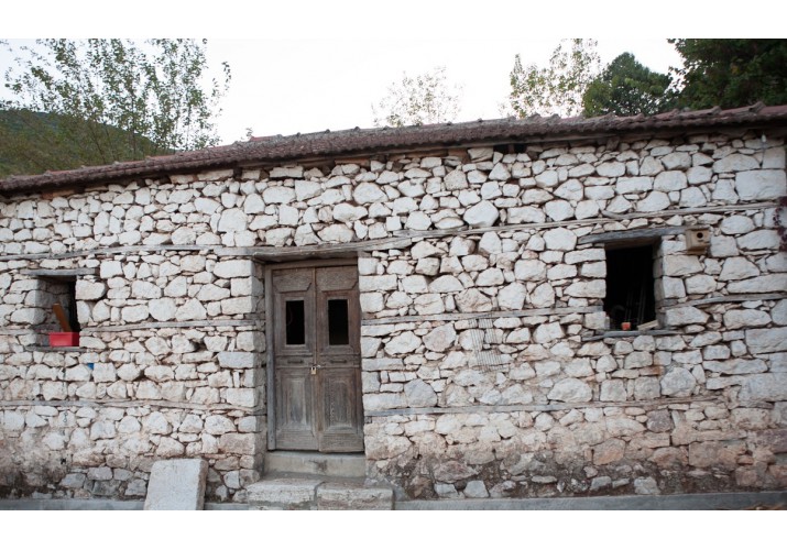 Ερπισμός ξύλινου πρειού λόγω φορτίων