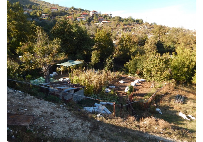 Καλλιέργεια στον περιφερειακό δρόμο του οικισμού