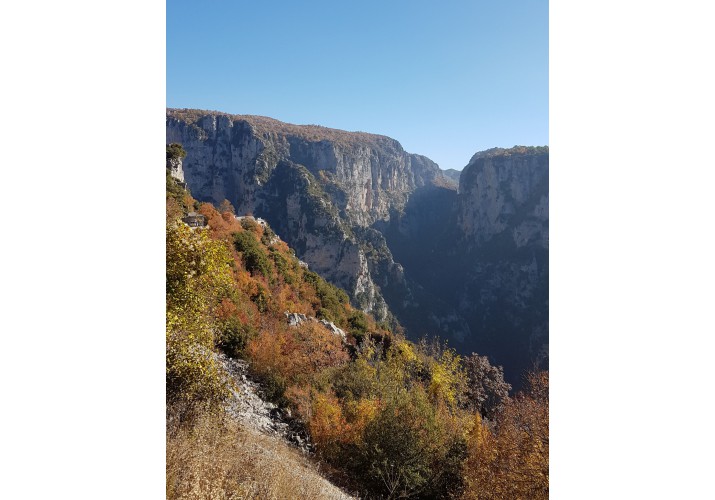 Φαράγγι του Βίκου