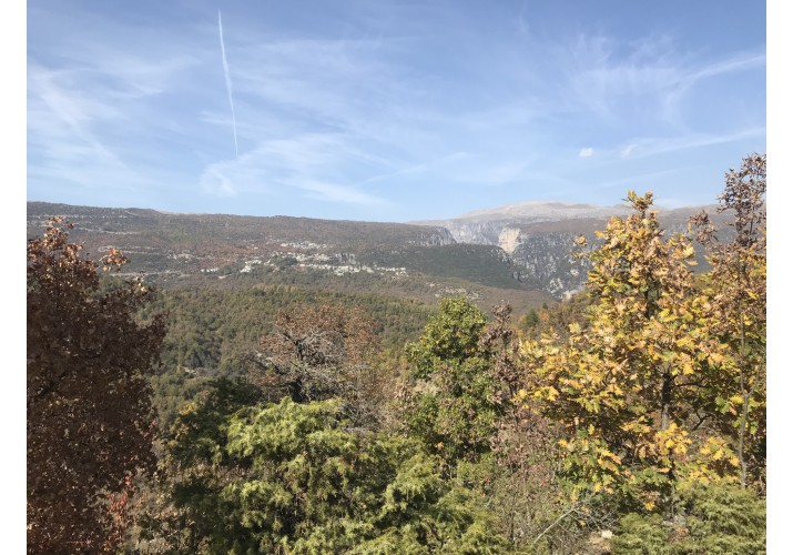 Βίτσα και Μονοδένδρι από απόσταση