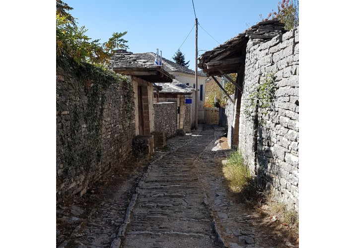 Μονοπάτι εντός του οικισμού