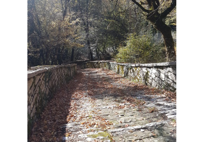 Μονοπάτι προς Χαράδρα του Βίκου