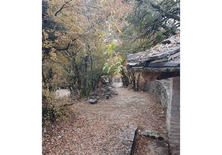 Μοναπότι προς Βίτσα