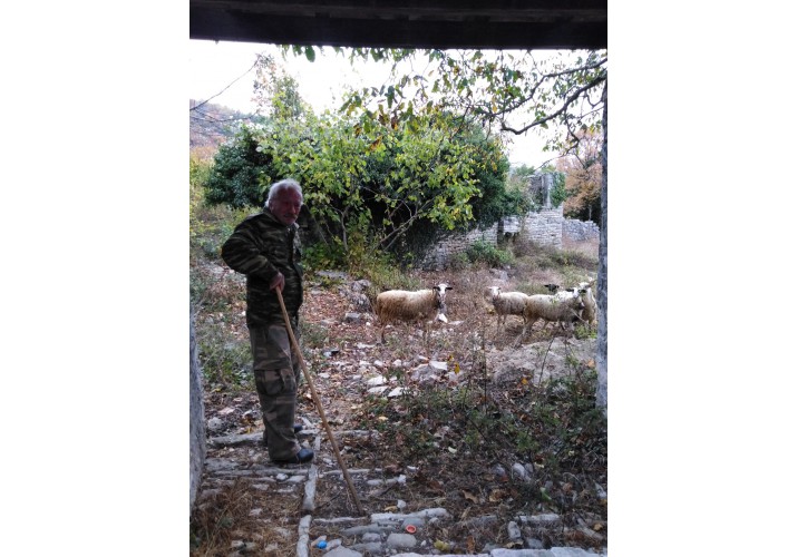 Εμπόριο στον οικισμό σήμερα