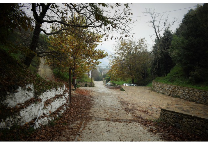 Είσοδος στην Καστάνιτσα