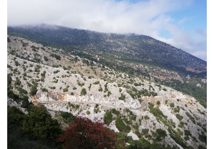 Άποψη τοπικής οδού