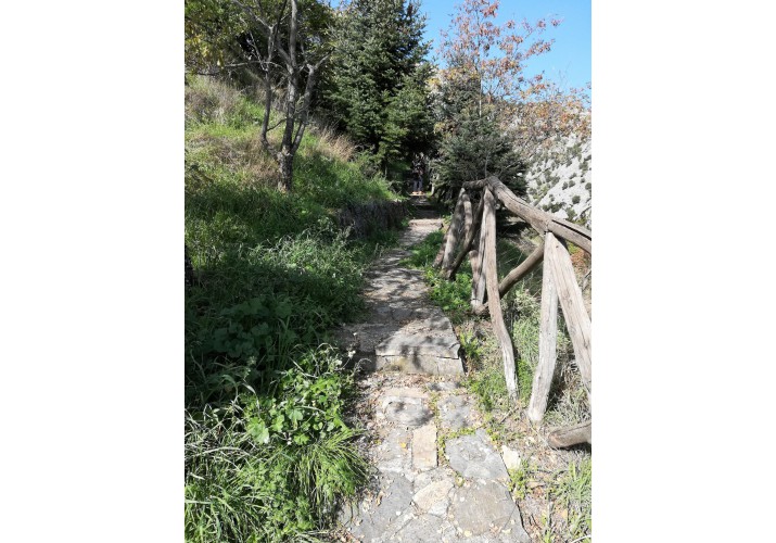 Μονοπάτι προς Πύργο Καψαμπέλη