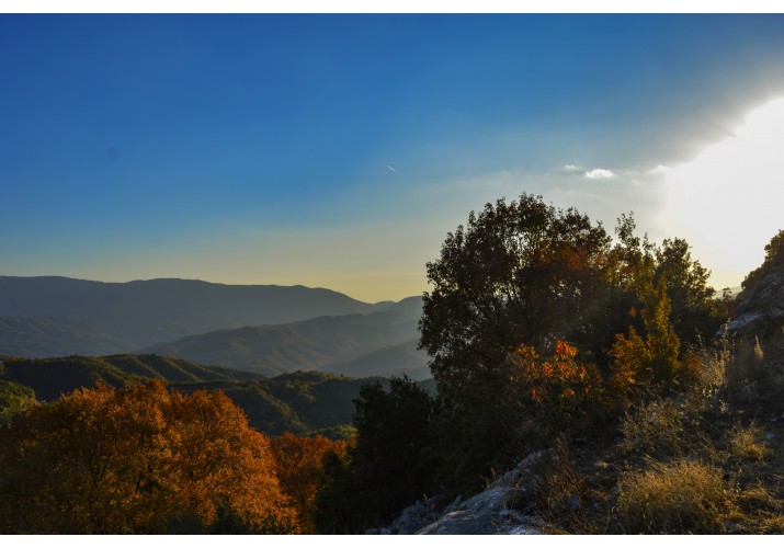 Κορυφή Γραδίστα
