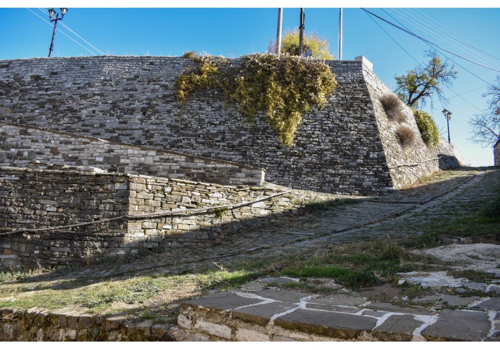 Διακλάδωση