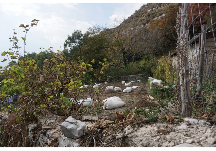 Αυλή με καλλιέργεια 
