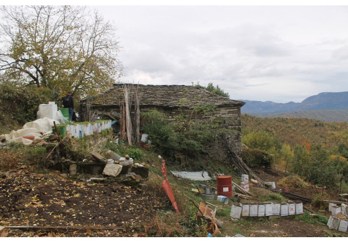 Κήπος