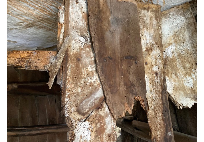 Αλλοιώσεις του ξύλου της στέγης από σήψη και ξυλόφαγα έντομα