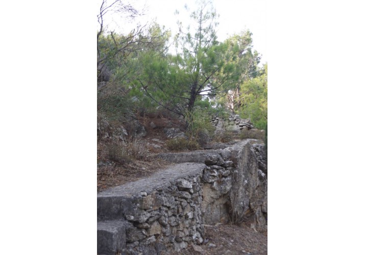 Μαντρότοιχος