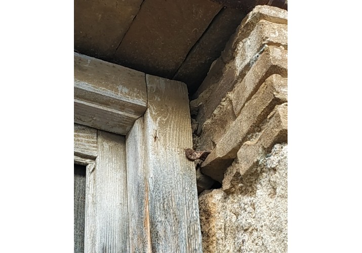Τζινέτι