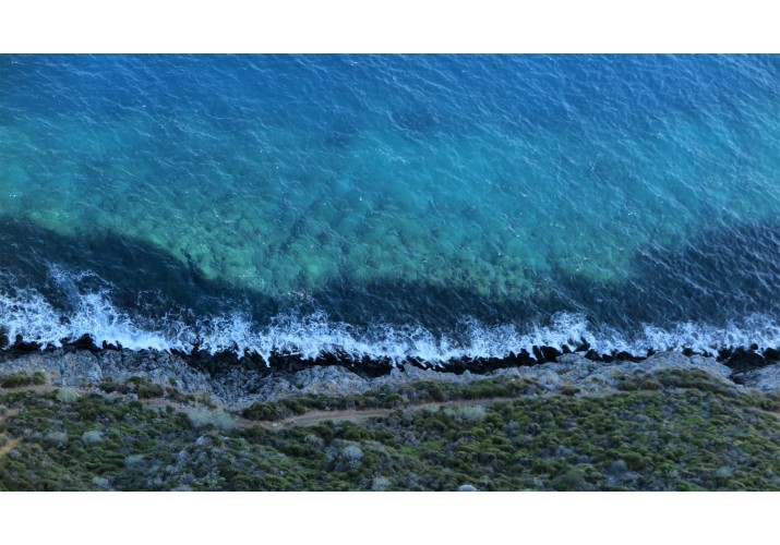 Η χλωρίδα της ανατολικής πλαγιάς του βράχου (άποψη από την άνω πόλη) 