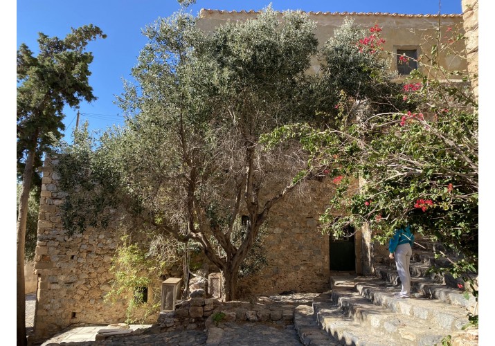 Ανατολική όψη